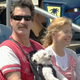 Illustration for article titled I Wish I Was This Dog In A Baby Carrier At The Phillies Game
